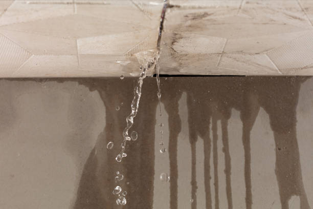 Professional Flood Damage Cleanup technician working in Orleans, MI